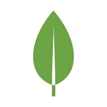 MongoDB